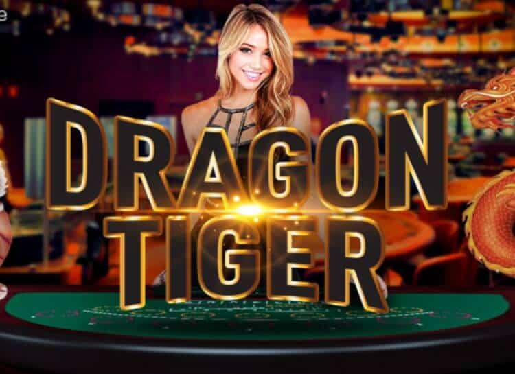 dragon tiger