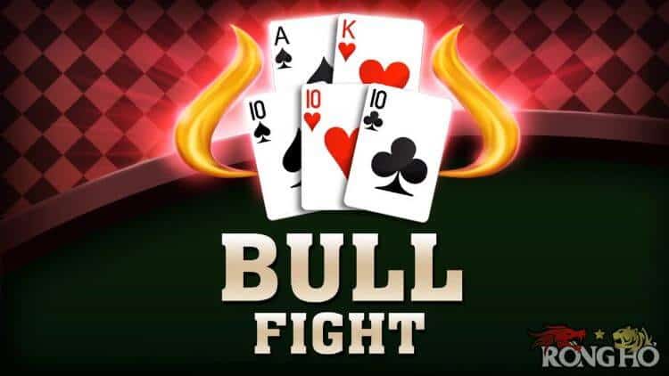 Bull Fight online